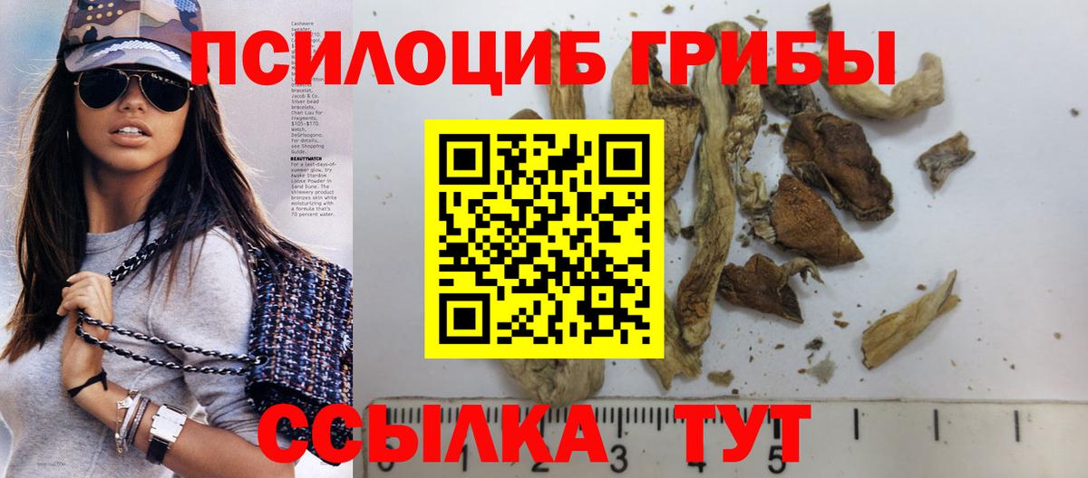 Галлюциногенные грибы MAGIC MUSHROOMS  Вход с VPN  Кувандык 